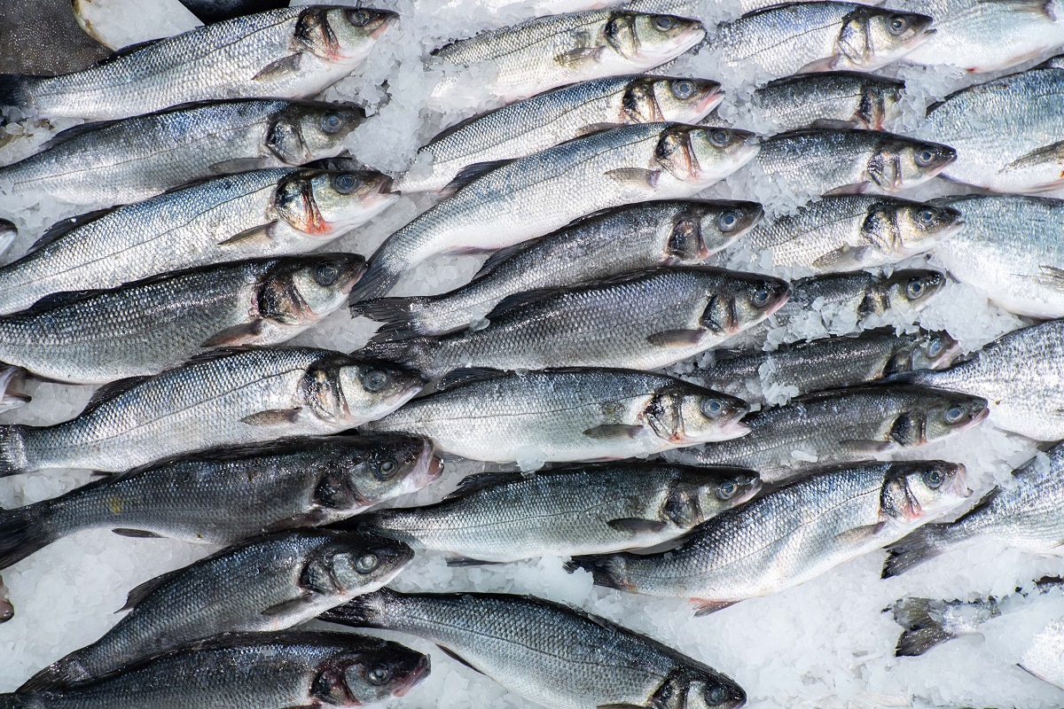 Россия в 2021 году экспортировала рыбу в 62 страны