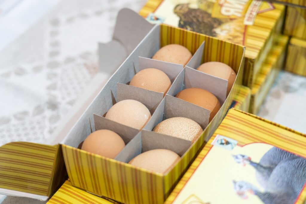Россельхознадзор разрешил поставки инкубационных яиц с предприятий Швеции, Венгрии и Германии
