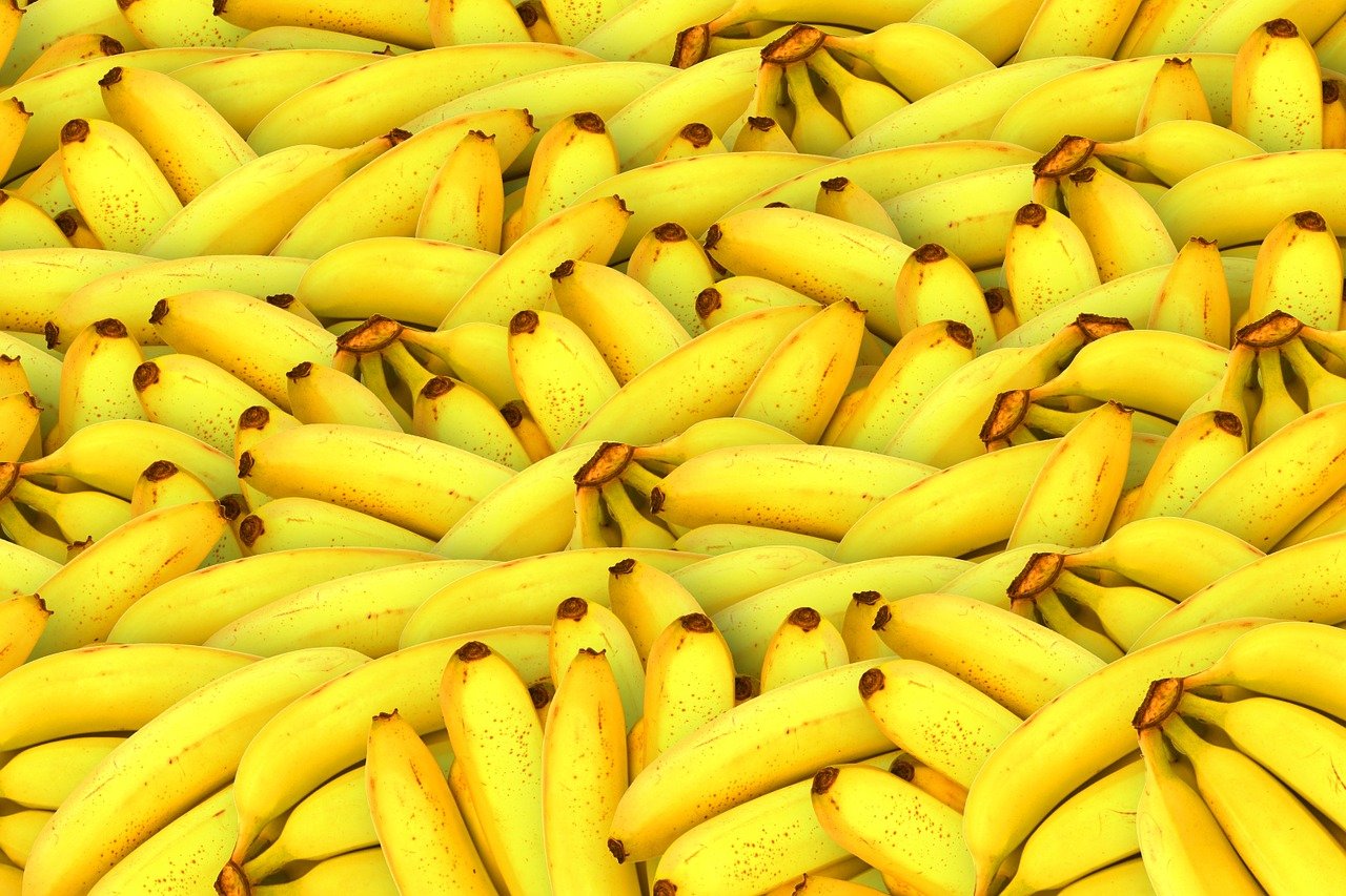 В Иране из-за нехватки кормов фермеры дают скоту бананы и баклажаны