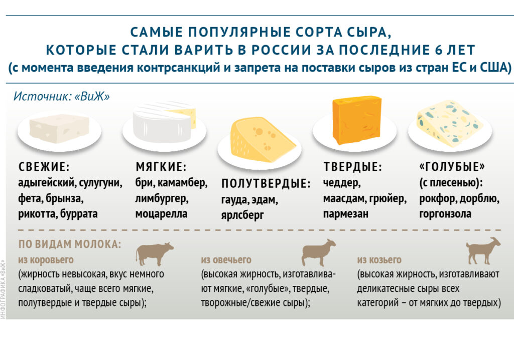 Самые популярные сорта сыра в России