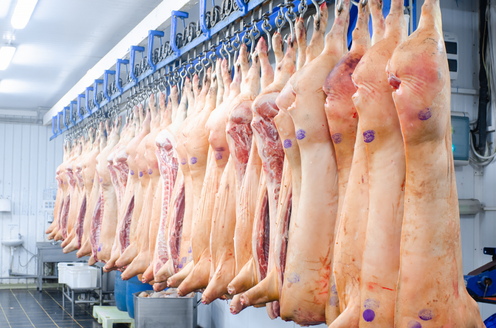 Падение цен на свинину в Китае влияет на мировой рынок мяса