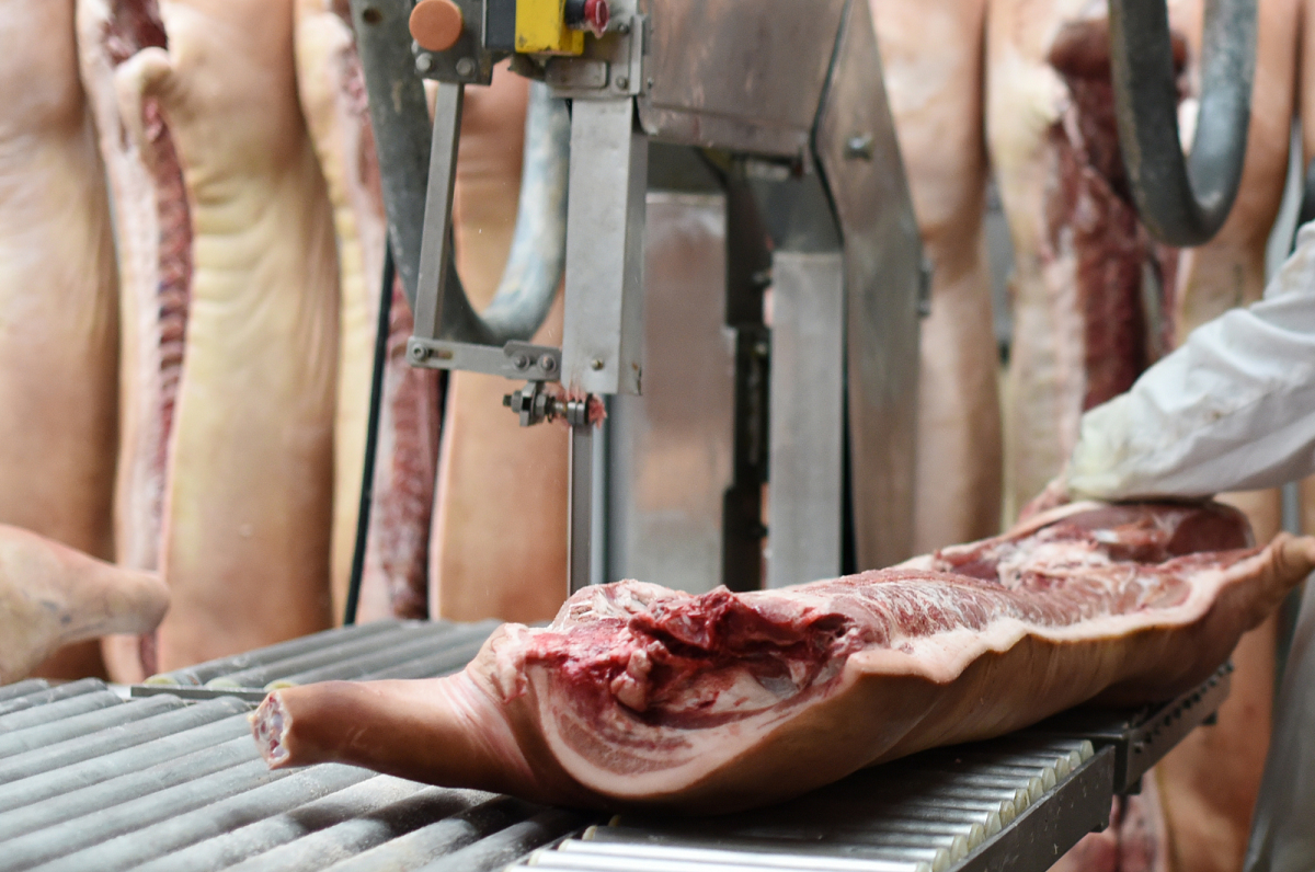В Колумбии в 2022 году произвели рекордное количество свинины