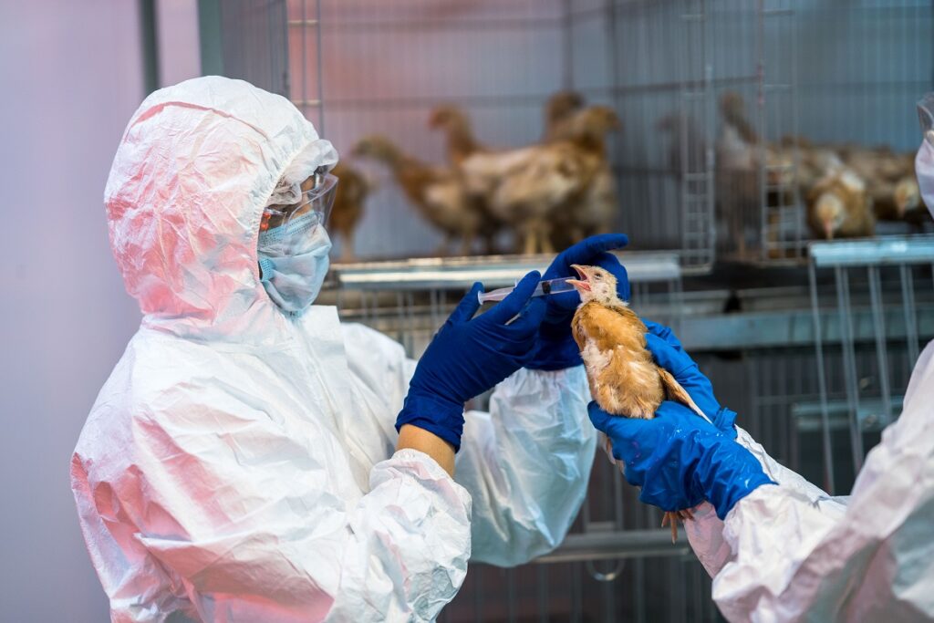 В ФГБУ «ВНИИЗЖ» произвели 20,7 млрд доз вакцин для животных