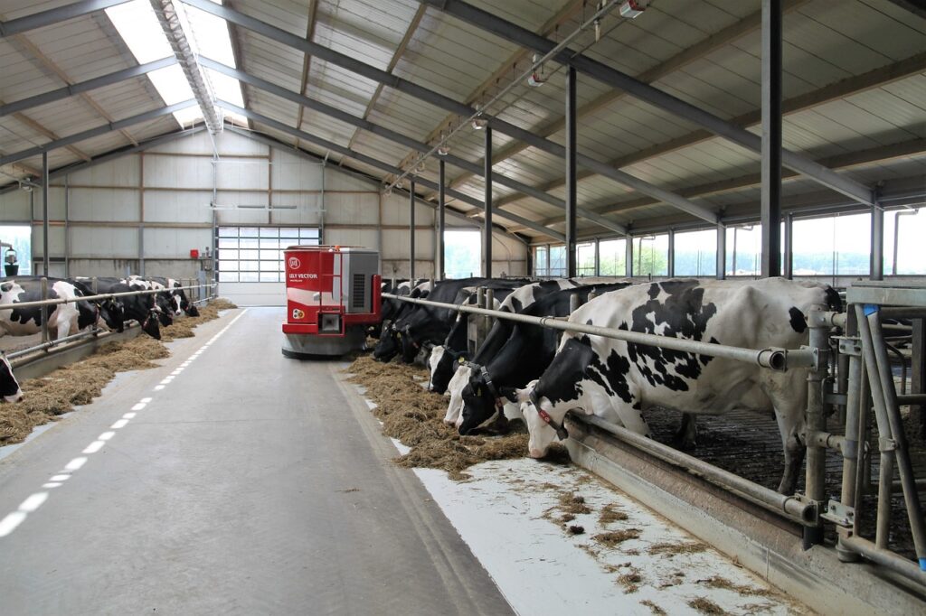 В Латвии за пять лет закрылось почти 42% молочных ферм