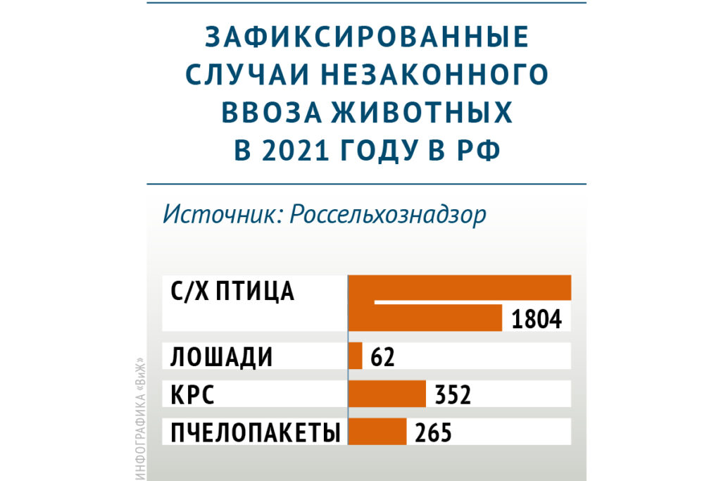 Сколько случаев незаконного ввоза животных в РФ зафиксировали в 2021 году