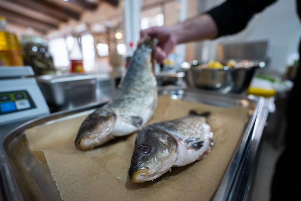 Розничные цены на мороженую рыбу в России снижаются