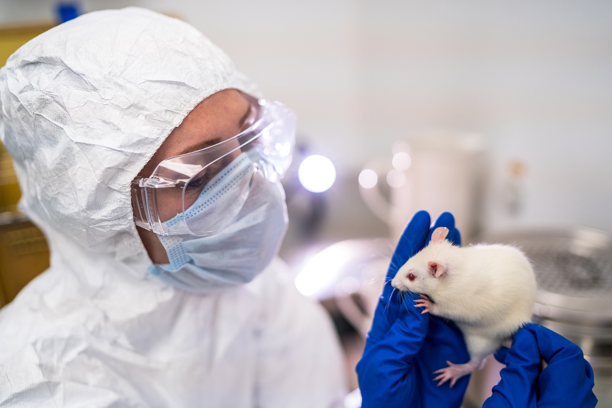 Researchers from Rosselkhoznadzor did not find SARS-CoV-2 infection in rodents in Russia