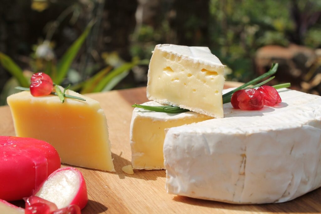 На Кубани запустили новое производство сыров с белой плесенью