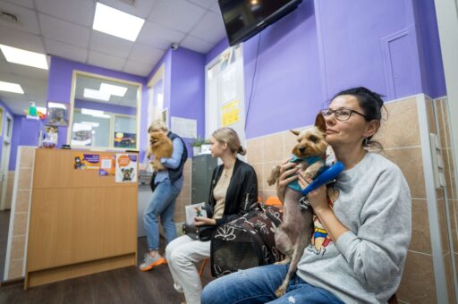 Минфин предлагает освободить все ветеринарные услуги от НДС