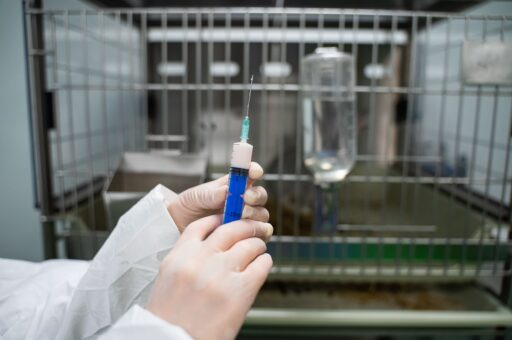 Эксперт назвал преимущества вакцины ВНИИЗЖ против репродуктивно-респираторного синдрома свиней