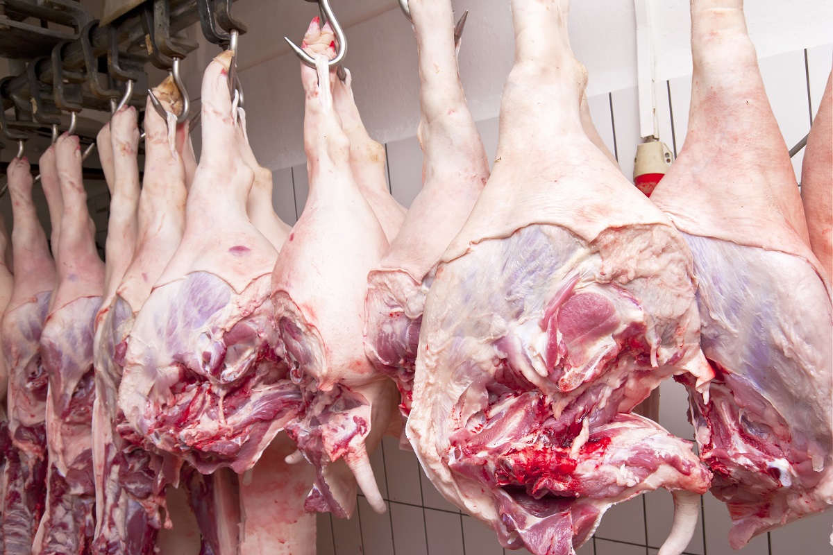 Производство мяса в России в январе – феврале 2023 года выросло на 12,2%