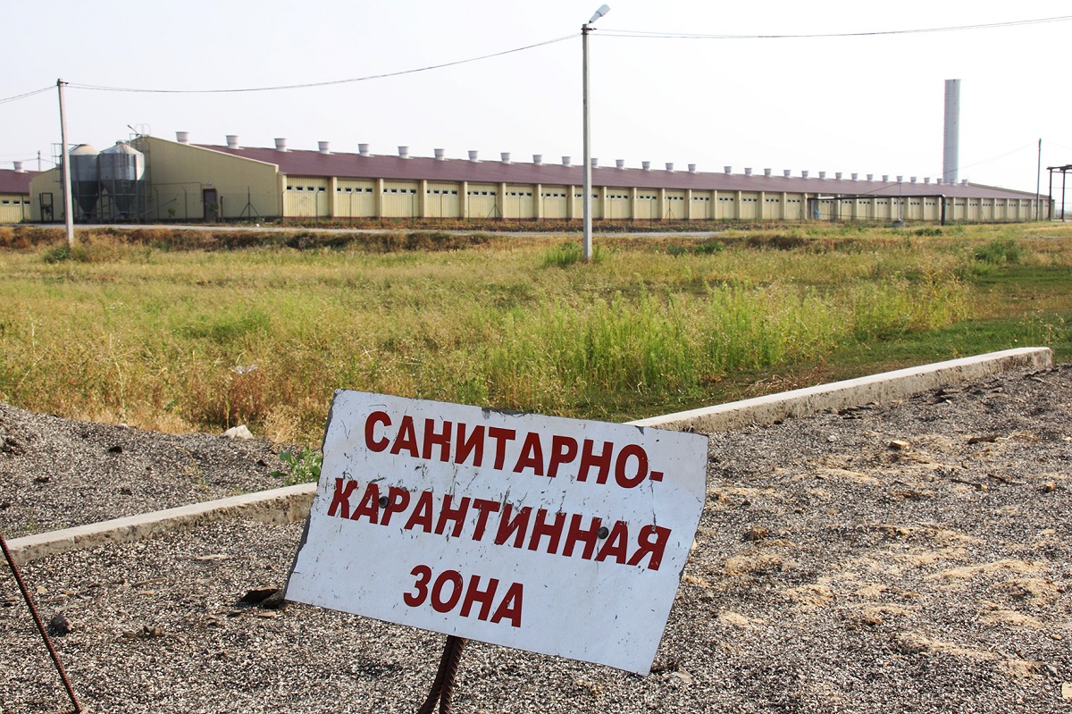 В Казахстане паводковые воды затопили скотомогильники с сибирской язвой |  Ветеринария и жизнь