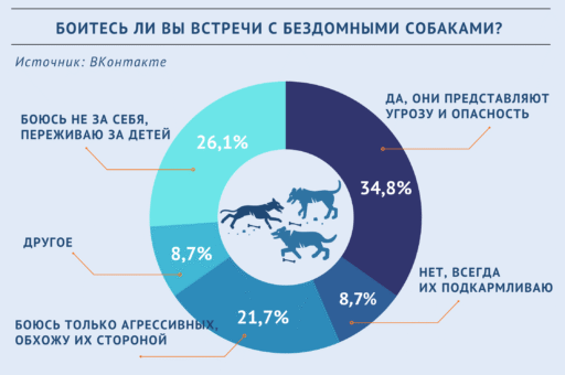 Итоги опроса «ВиЖ»: бездомные собаки представляют опасность для людей