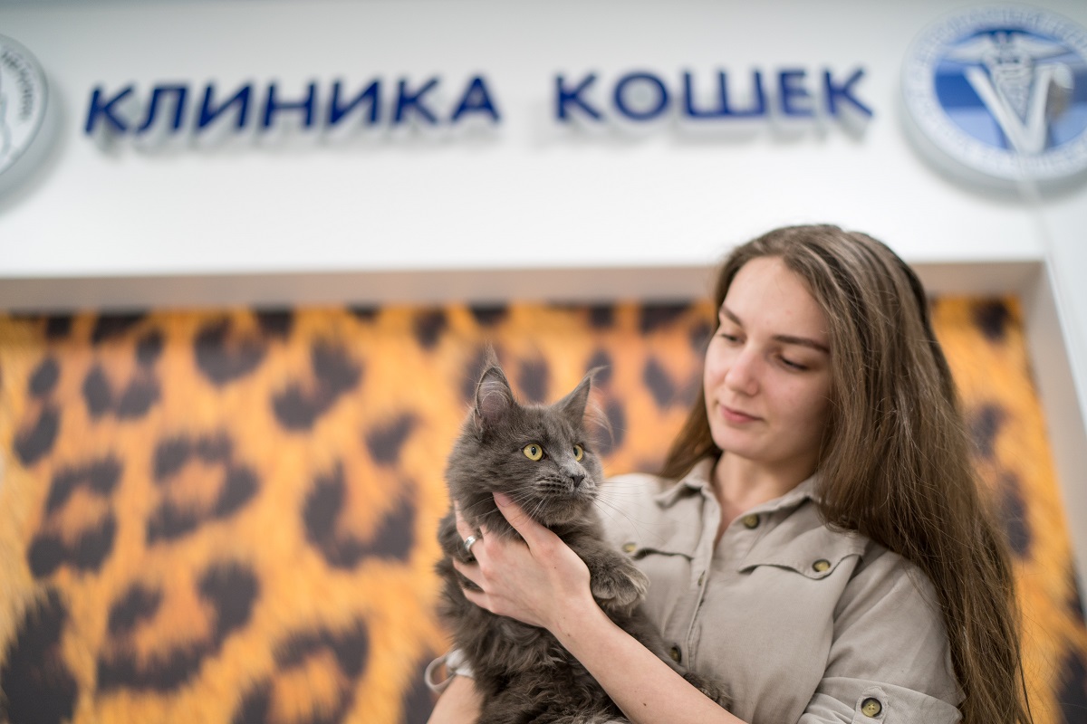 Европейский ветеринарный центр москва. Европейский ветеринарный центр. Клиники Кэт френдли ветеринарные.