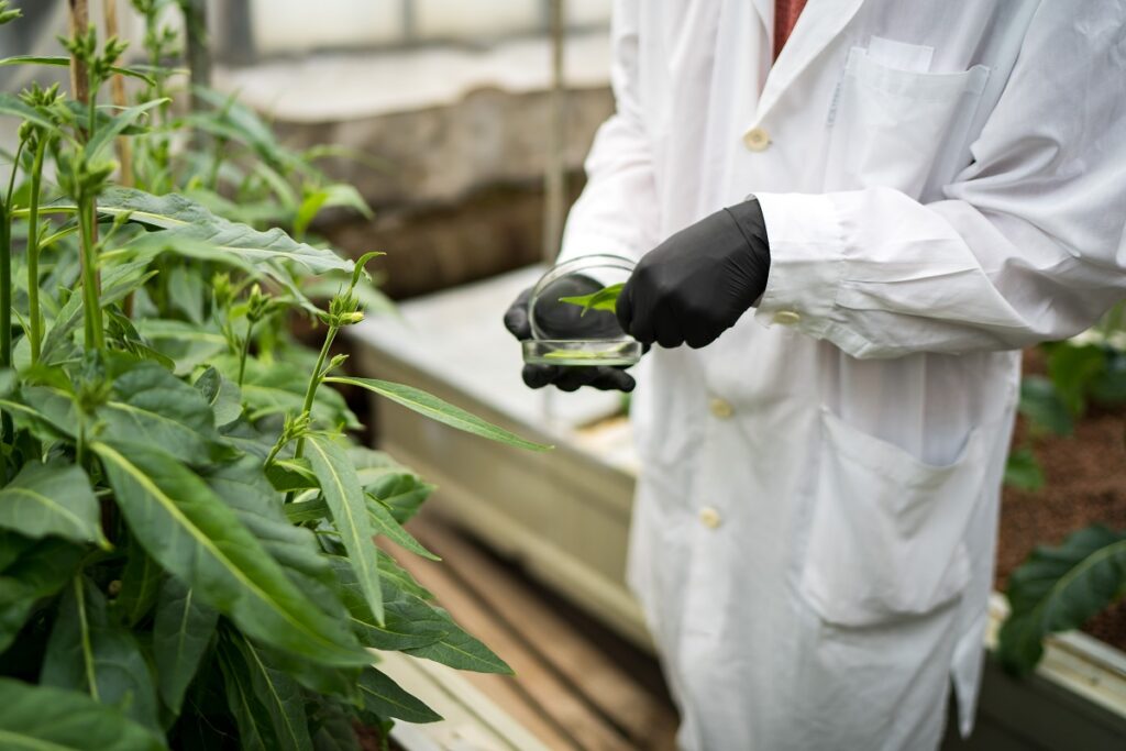 Кабмин утвердил создание системы прослеживаемости пестицидов и агрохимикатов в РФ