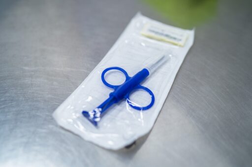 Белорусы создадут цифровой реестр своих питомцев 