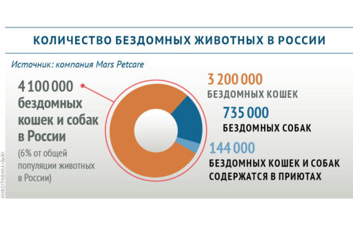 Сколько бездомных животных находится в России