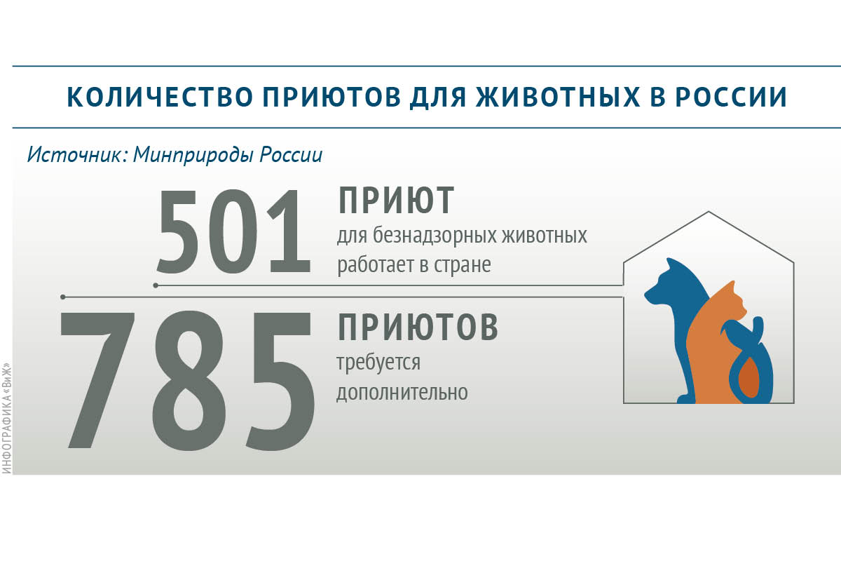 Сколько приютов для животных требуется в России