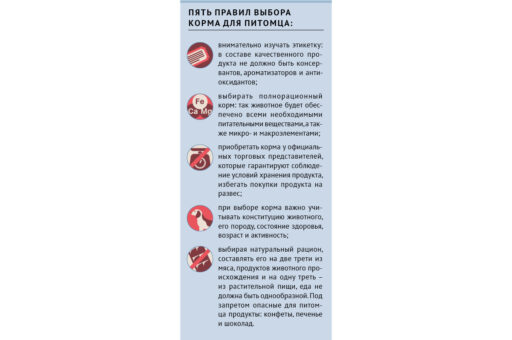 Пять правил по выбору корма для питомца