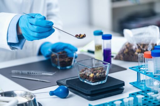 ВГНКИ обнаружил ГМО в импортных кормах для кошек и собак 