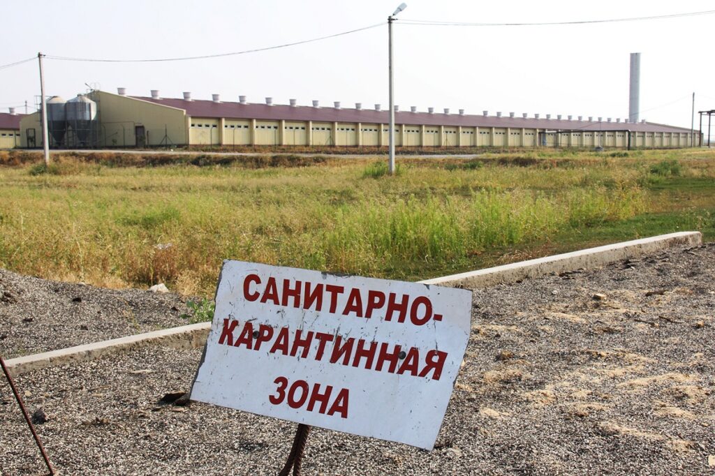 Калининградская область установит карантинную полосу на границе с Польшей и Литвой