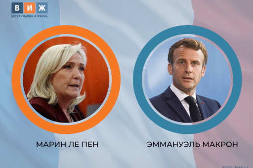 Эксперты проанализировали сельскохозяйственные программы Макрона и Ле Пен
