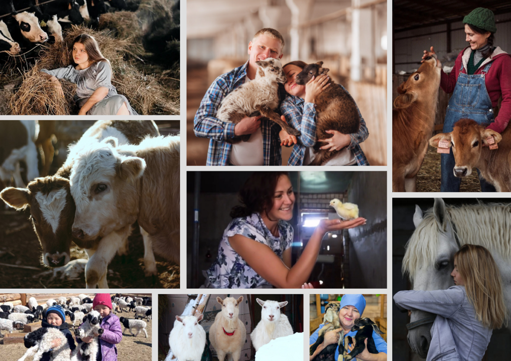 Завершилось голосование на фотоконкурсе «Современное животноводство и ветеринария»