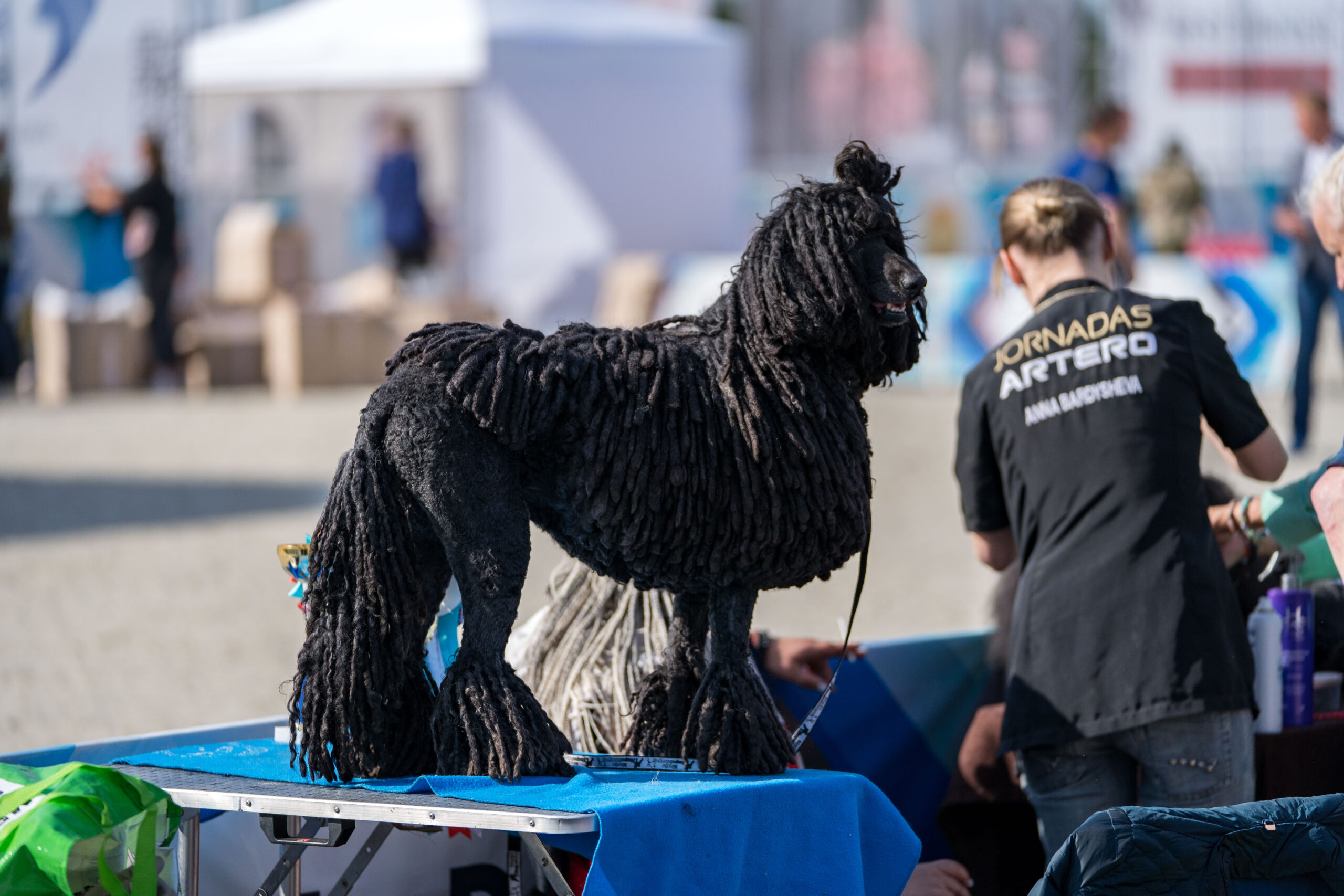 «Евразия 2022»: выставка собак под эгидой РКФ