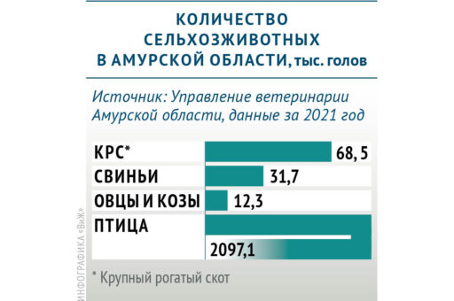 Сколько сельхозживотных содержится в Амурской области