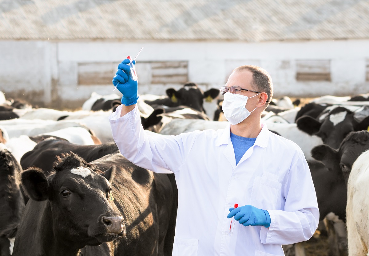 Ученые дали прогноз по использованию антибиотиков в животноводстве