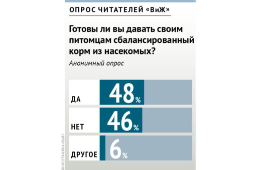 Участники опроса «ВиЖ» готовы давать своим питомцам корм из насекомых