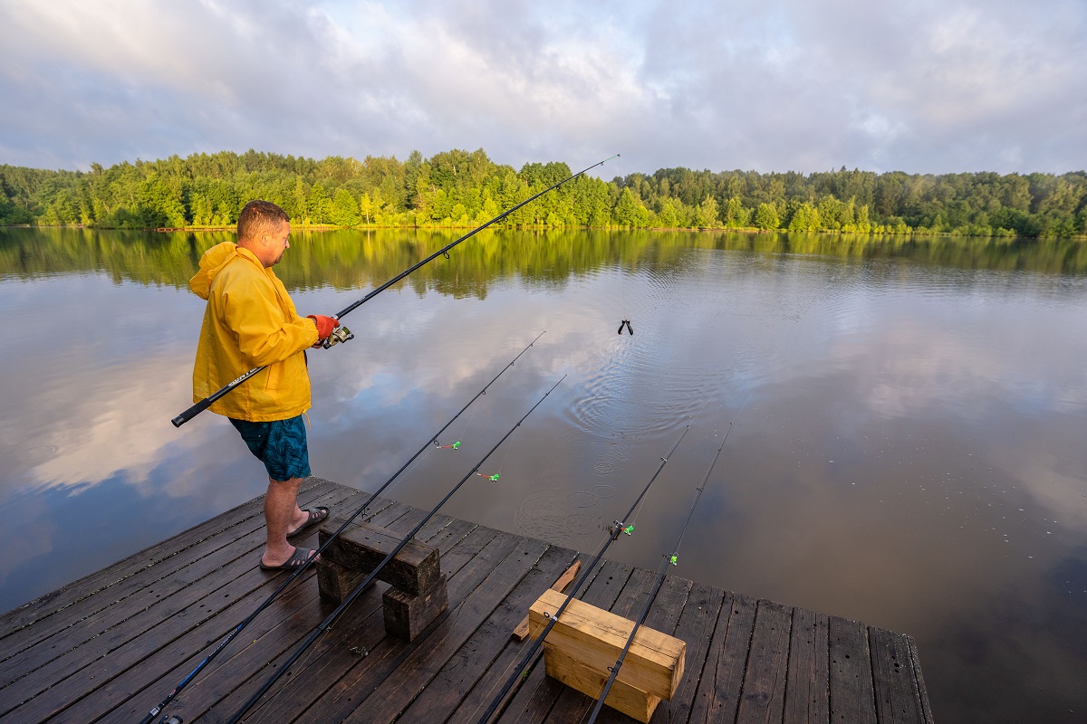 Названы топ-10 мест для бесплатной рыбалки в Подмосковье