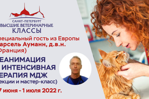 Европейский эксперт по неотложной помощи мелким домашним животным Марсель Ауманн выступит в СПбГУВМ