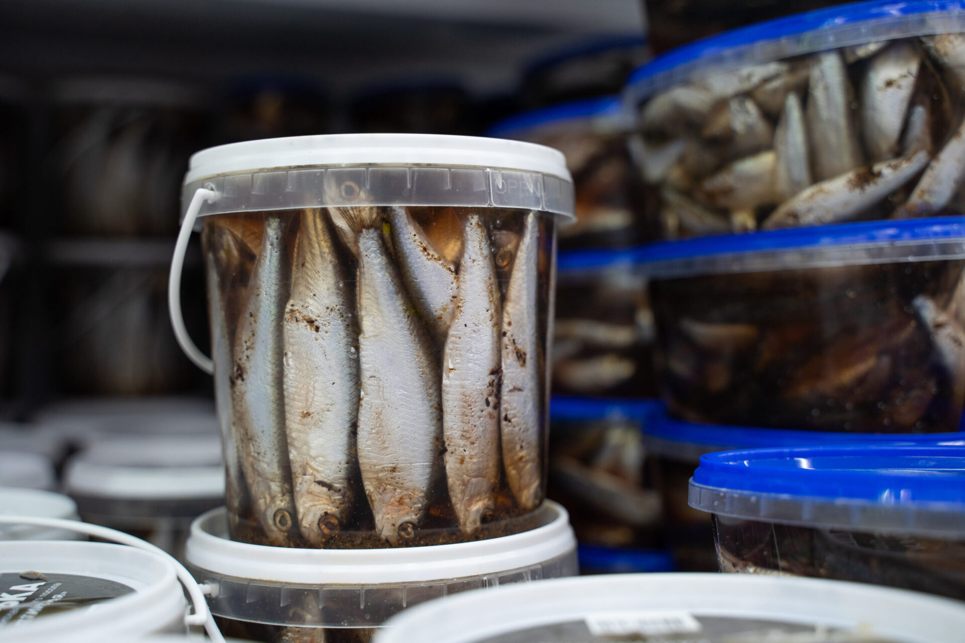 Приморье в пять раз увеличило экспорт сушеной и соленой рыбы