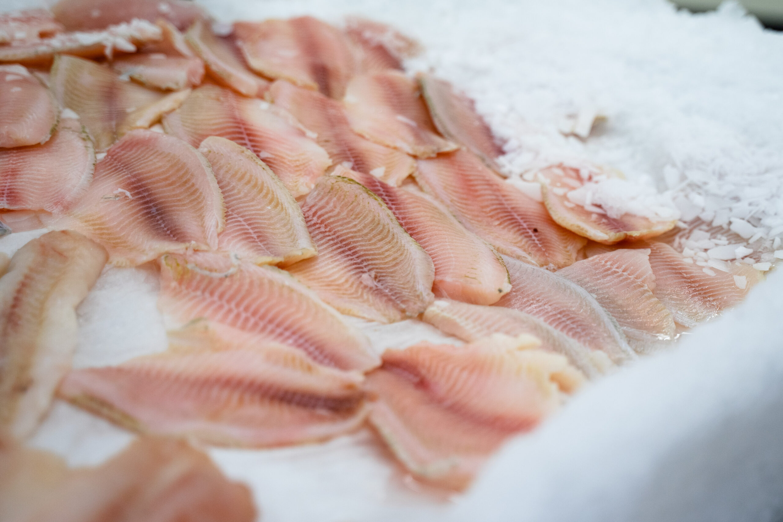 В России утвердили перечень рыбной продукции для получения налогового вычета в размере 85%