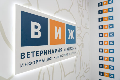 Пять лет исполнилось с момента выхода в свет первого номера «Ветеринарии и жизни»