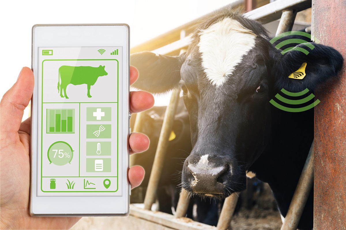 Минсельхоз США предлагает сделать обязательным электронное маркирование скота