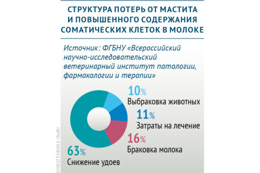 Какие потери несет хозяйство из-за мастита КРС и повышенного содержания соматических клеток в молоке