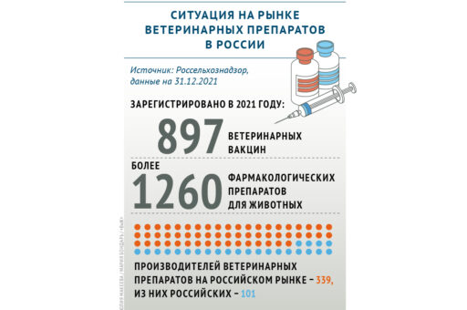 На российском рынке ветпрепаратов зарегистрировано 897 вакцин для животных