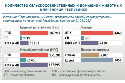 Сколько сельскохозяйственных и домашних животных содержится в Чеченской Республике