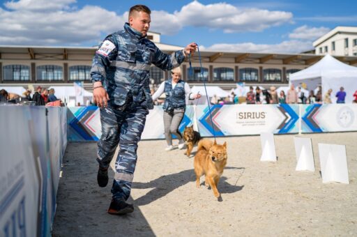 День кинолога отмечается в России 21 июня