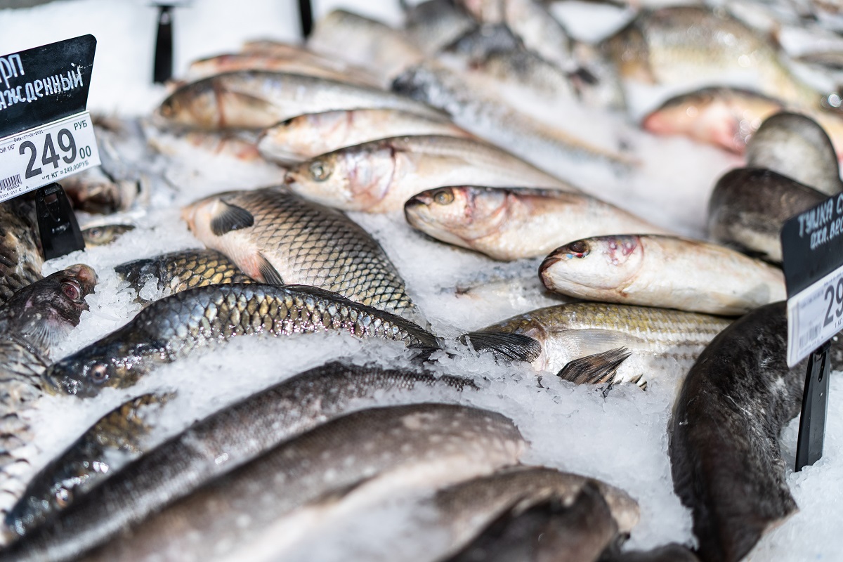 ФАО прогнозирует падение объемов поставок рыбы и морепродуктов на внешние рынки
