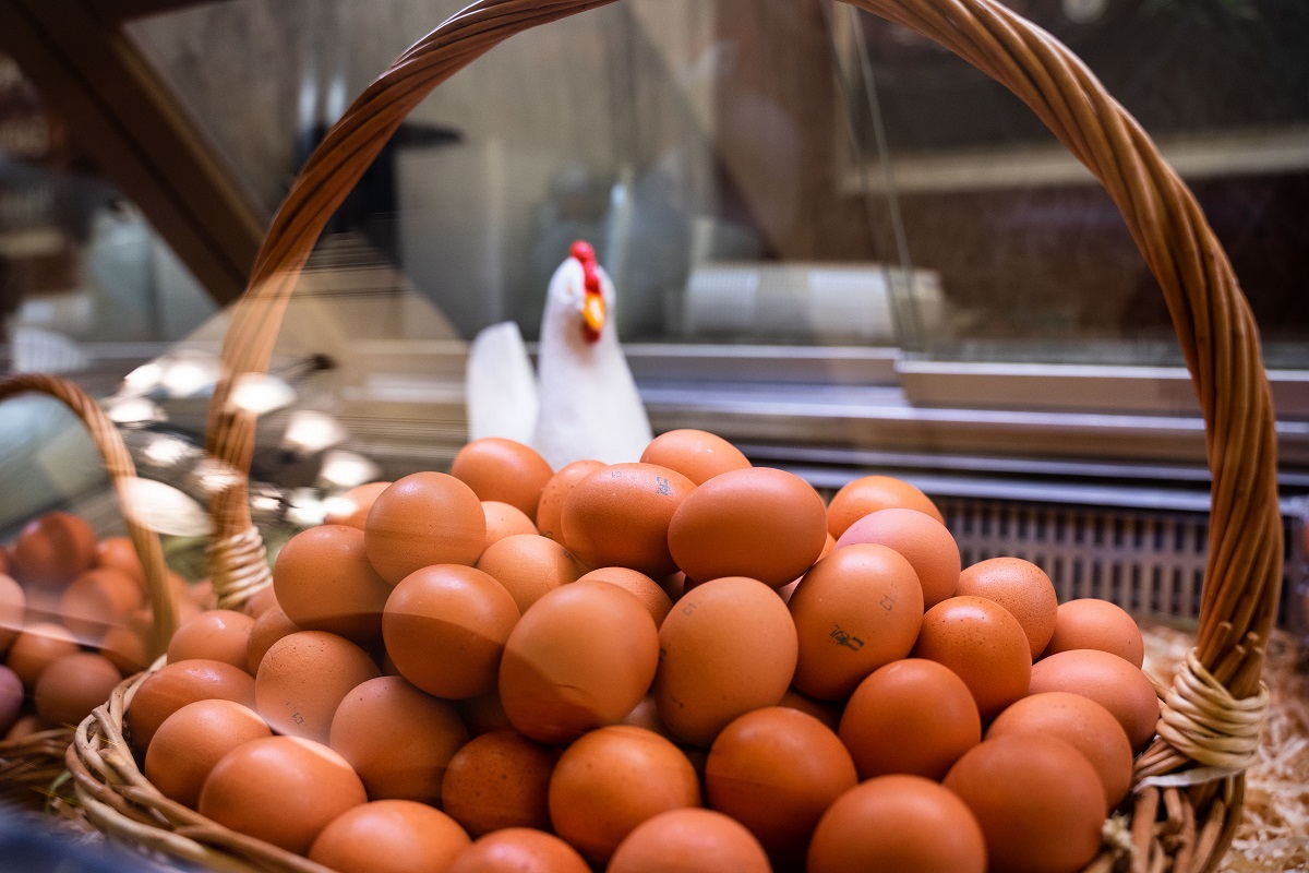 В России выросли цены на куриные яйца и молочные смеси
