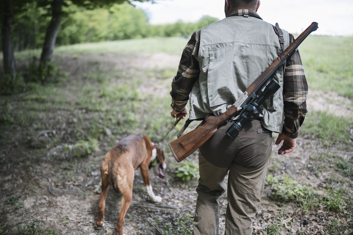 В Курской области открыли зоны обучения охотничьих собак