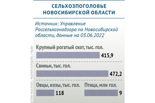 Сколько сельхозживотных содержится в Новосибирской области