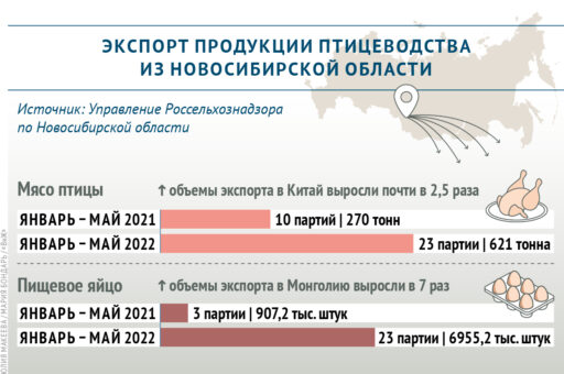 Какую продукцию животноводства экспортируют из Новосибирской области