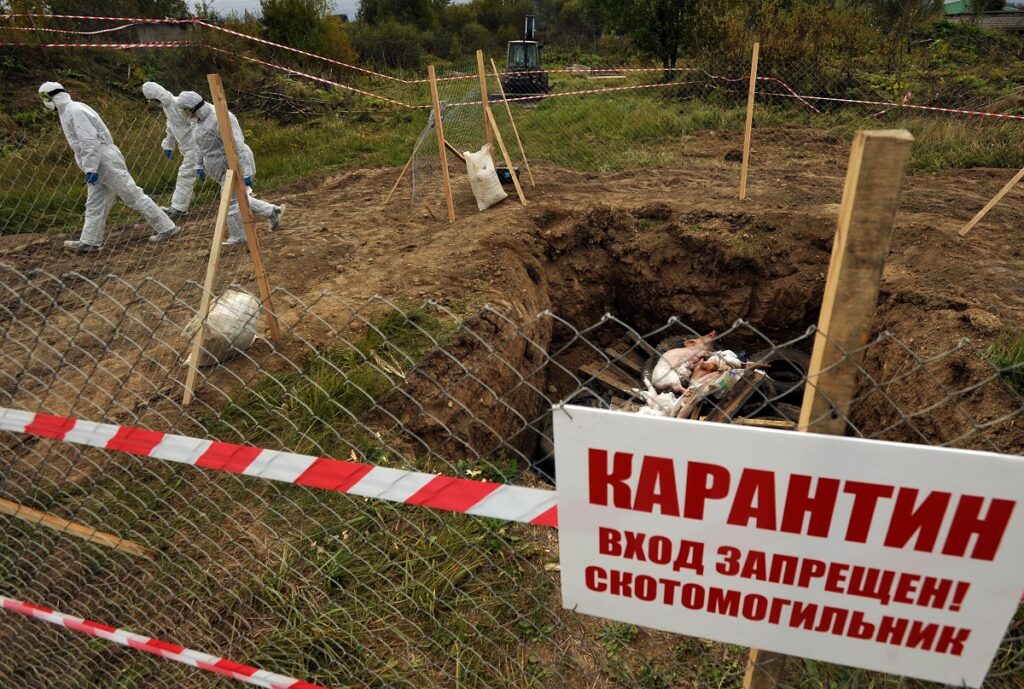 Россия и Казахстан контролируют ситуацию со скотомогильниками на затопленных территориях