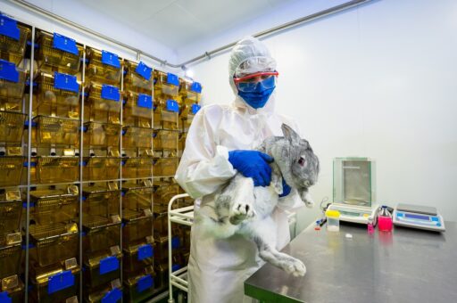 Ученые опасаются появления новых животных – резервуаров для SARS-CoV-2
