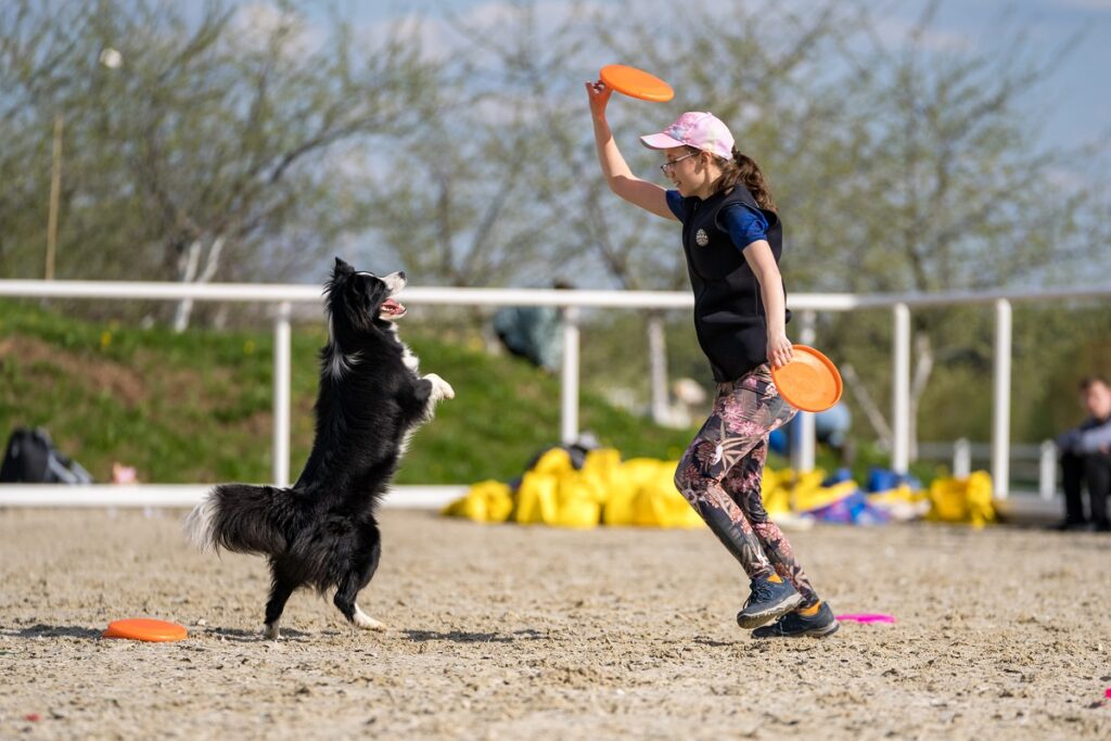 Министерство спорта признало спортивной дисциплиной танцы с собаками