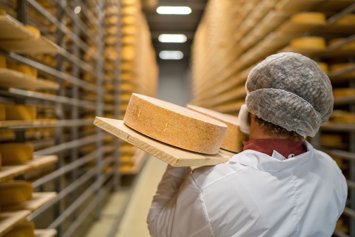 Куда катится российский сыр: отечественному продукту сложно конкурировать с товарами из Белоруссии